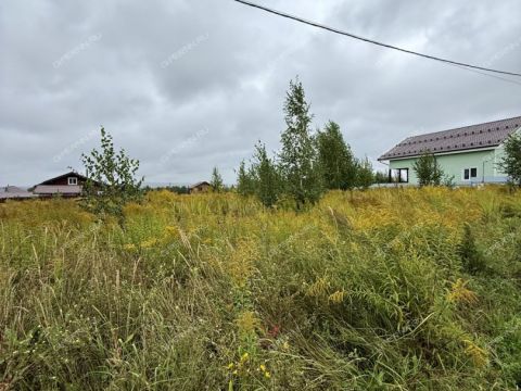 derevnya-mihalchikovo-kstovskiy-rayon фото