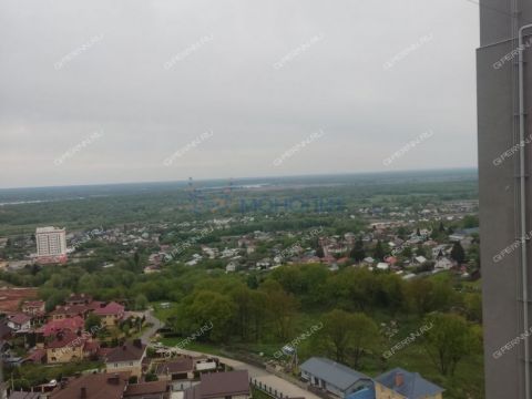 1-komnatnaya-derevnya-afonino-kstovskiy-rayon фото
