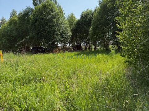 selo-diveevo-diveevskiy-municipalnyy-okrug фото