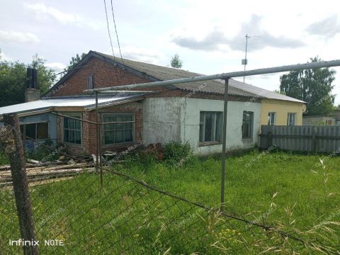 taunhaus-selo-yagodnoe-perevozskiy-gorodskoy-okrug фото