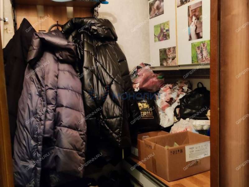 трёхкомнатная квартира на Молитовской улице дом 2