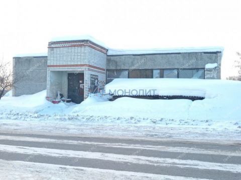 derevnya-medvedevo-semenovskiy-gorodskoy-okrug фото