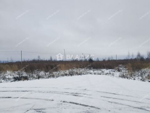 selo-bezvodnoe-kstovskiy-rayon фото