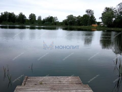 dom-derevnya-piyaichnoe-sosnovskiy-rayon фото