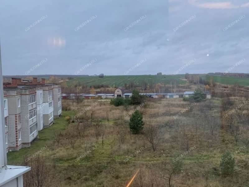 трёхкомнатная квартира на улице Гагарина дом 16 город Ворсма