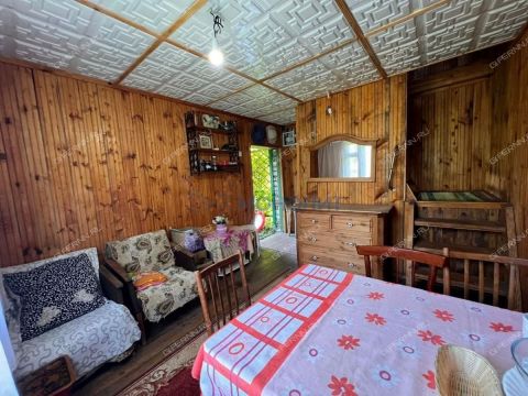 dacha-sadovodcheskoe-nekommercheskoe-tovarishhestvo-romashka-bogorodskiy-municipalnyy-okrug фото