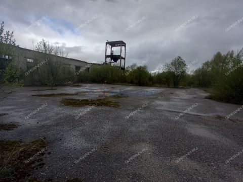 gorod-bor-gorodskoy-okrug-bor фото