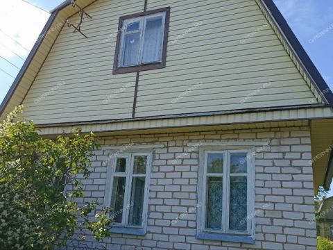 dacha-poselok-pri-stancii-osinki-semenovskiy-gorodskoy-okrug фото