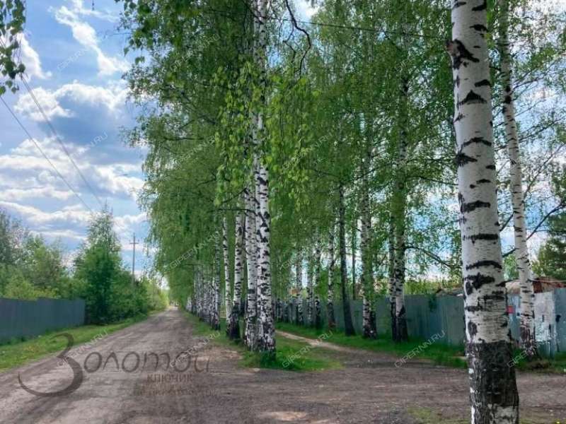 земельный участок 8 соток СНТ-16 ОАО ГАЗ деревня Новая Пунерь