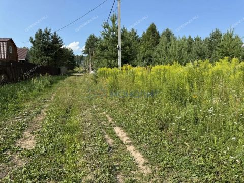 dp-cheshskie-sady-derevnya-nepecino-ter-bogorodskiy-municipalnyy-okrug фото