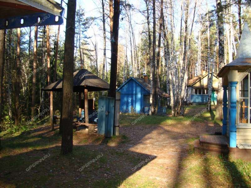 земельный участок под коттеджный посёлок в городском округе Бор Нижегородской области