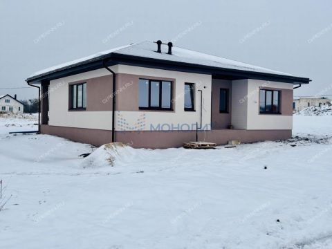 dom-derevnya-berezovka-bogorodskiy-municipalnyy-okrug фото