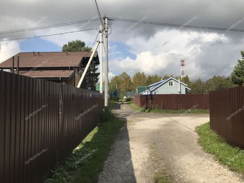 zolotoe-runo-derevnya-ogolihino-ter-snt-gorodskoy-okrug-bor фото