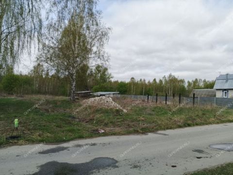derevnya-ilinskoe-gorodskoy-okrug-bor фото
