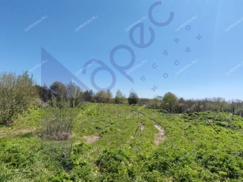 derevnya-berezovo-sokolskiy-gorodskoy-okrug фото