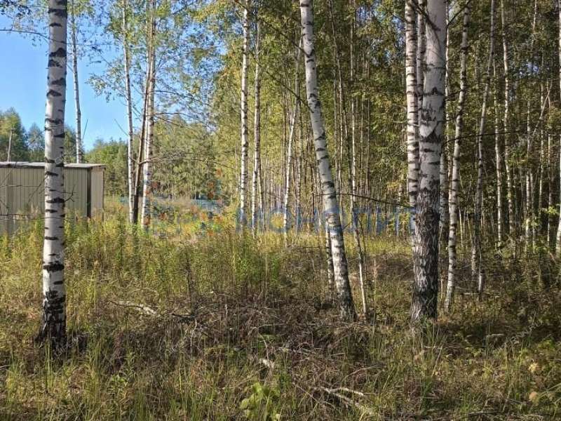 земельный участок 15 соток ТИЗ Елховка - Урожайная улица село Елховка