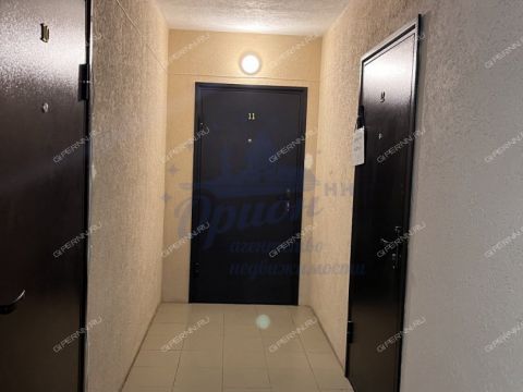 1-komnatnaya-poselok-okskiy-bogorodskiy-municipalnyy-okrug фото