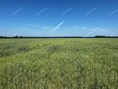 derevnya-knyazhevo-gorodskoy-okrug-bor фото