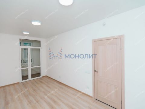 1-komnatnaya-derevnya-ankudinovka-kstovskiy-rayon фото