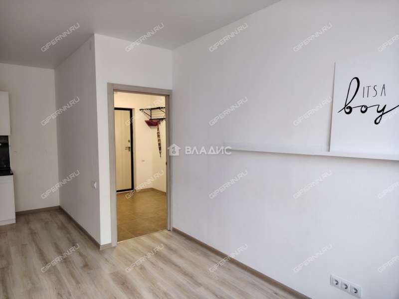 двухкомнатная квартира на Русской улице улице дом 16 деревня Анкудиновка