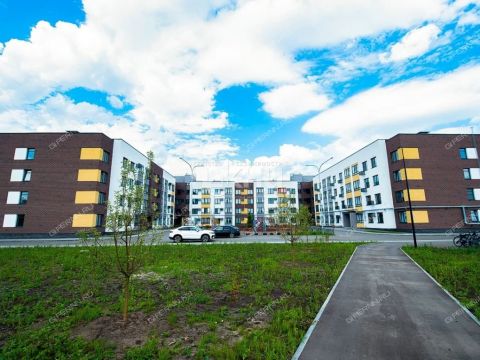 1-komnatnaya-poselok-parysheva-ul-zelenhozovskaya-1t фото