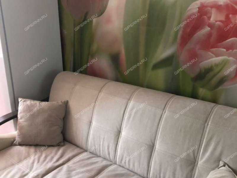 однокомнатная квартира на улице Советской Армии дом 10а