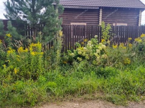 dom-derevnya-shumilovo-bogorodskiy-municipalnyy-okrug фото