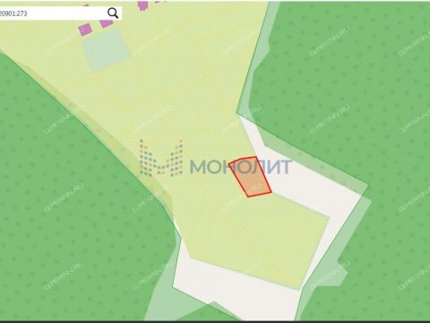 snt-stroitel-bogorodskiy-municipalnyy-okrug фото