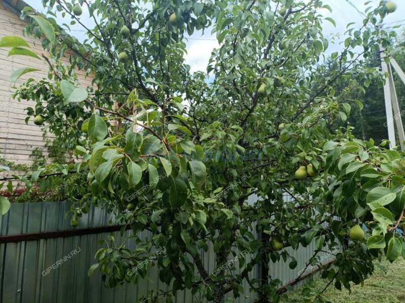 дом на улице Ягодная деревня Мериново