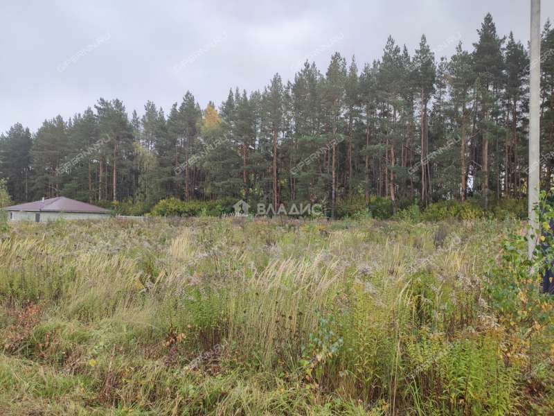 земельный участок 7,29 сотки улица Саврасова село Каменки