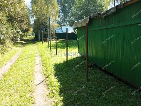 berezovaya-roshha-derevnya-temryashino-ter-snt-gorodskoy-okrug-bor фото