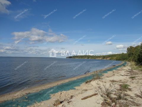 derevnya-selyancevo-sokolskiy-gorodskoy-okrug фото