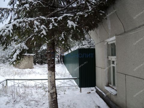 gorod-navashino-navashinskiy-gorodskoy-okrug фото