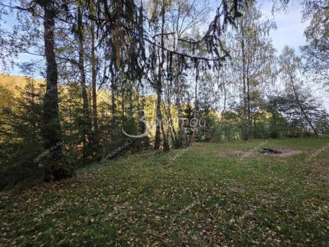 selo-katunki-gorodskoy-okrug-chkalovsk фото