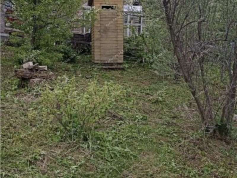 дача на СНТ Колос