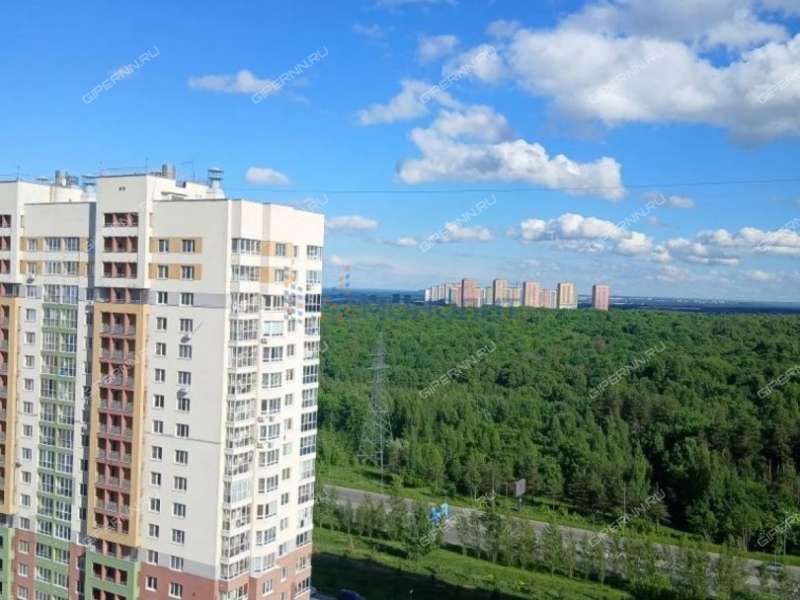 двухкомнатная квартира на улице Академика Сахарова дом 117 к1