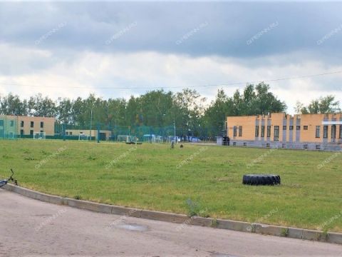 dom-derevnya-beshencevo-ul-skulptora-guseva-d-16 фото