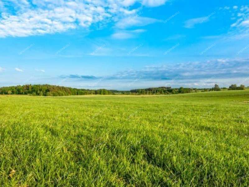 земельный участок 10 соток деревня Охотино