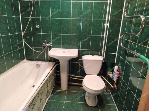 1-komnatnaya-derevnya-novolikeevo-kstovskiy-rayon фото