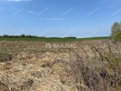 dom-derevnya-timonino-bogorodskiy-municipalnyy-okrug фото