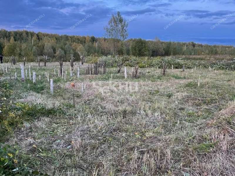 земельный участок 16,3 сотки Светлая село Безводное