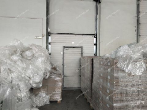 shekspira-ul-d-10a фото