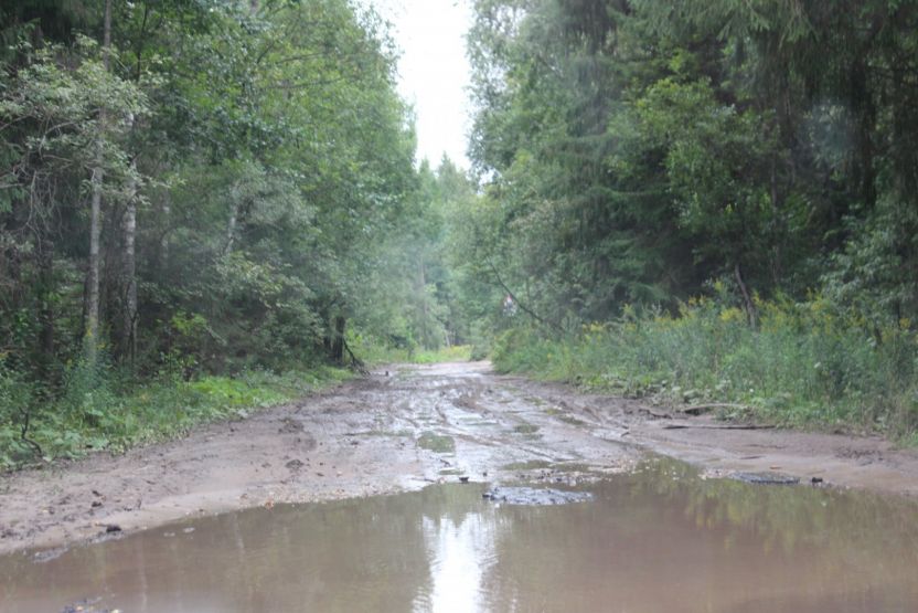 Фото: Ксения Ражева / gipernn.ru