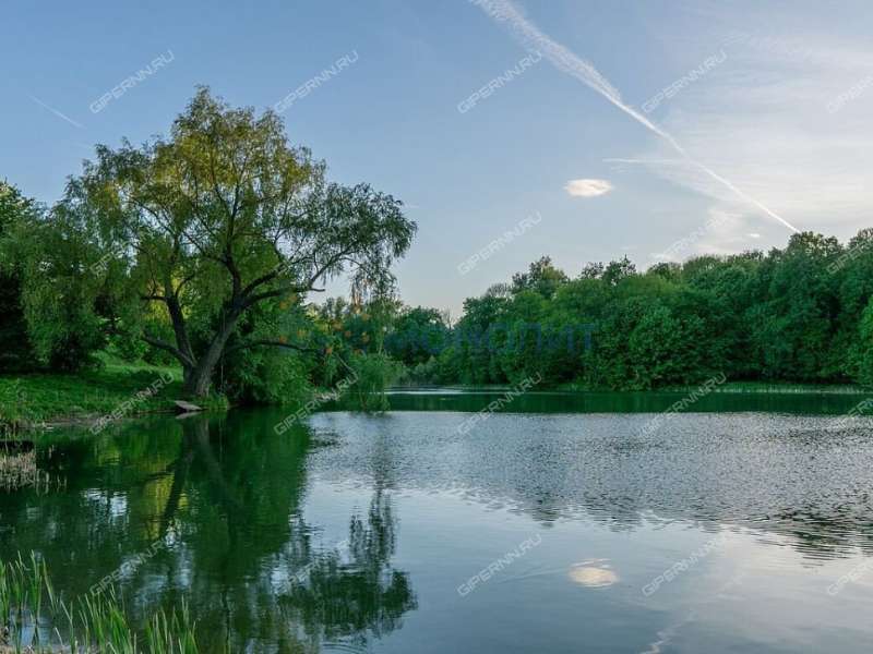 дом на Октябрьской улице село Шапкино