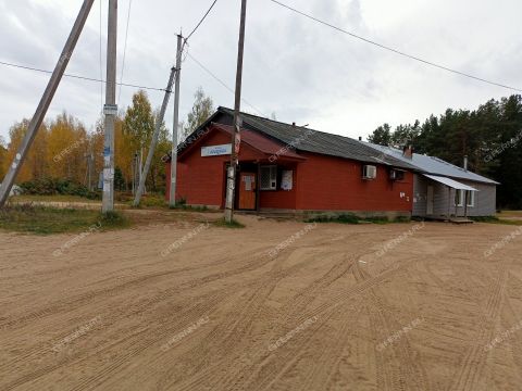 dom-selo-selskaya-maza-gorodskoy-okrug-bor фото