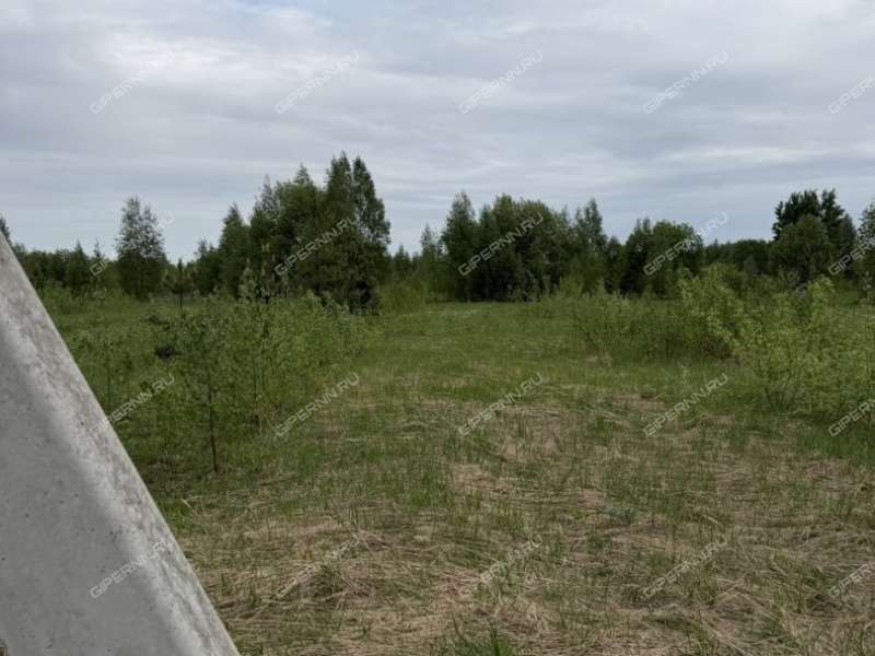 земельный участок 10 соток Яблоневая улица деревня Чеченино