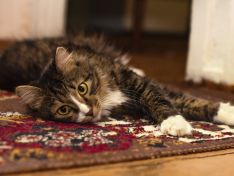 9 вещей из СССР, которые до сих пор хранят в квартирах