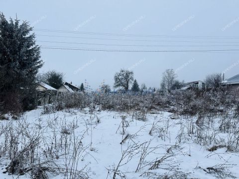 derevnya-burcevo-bogorodskiy-municipalnyy-okrug фото