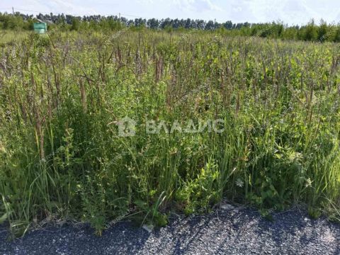 derevnya-krashovo-bogorodskiy-municipalnyy-okrug фото