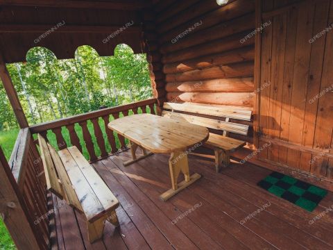 rabochiy-poselok-vasilsursk-vorotynskiy-gorodskoy-okrug фото